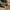 BRUNT 6 inch insulated composite toe work boot in brown