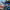 BRUNT 4th of july deals with travis pastrana in front of an American flag painted van