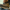 BRUNT 6 inch waterproof welted composite toe marin work boot in dark taN