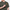 The Martin Short Sleeve Pocket Tee Pack