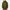 The Shevlin Hoodie Pack