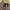 video of man on jobsite wearing BRUNT abrasion resistant cargo work shorts in brown
